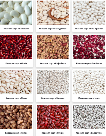 We sell beans of different varieties The bea - Imagen 1