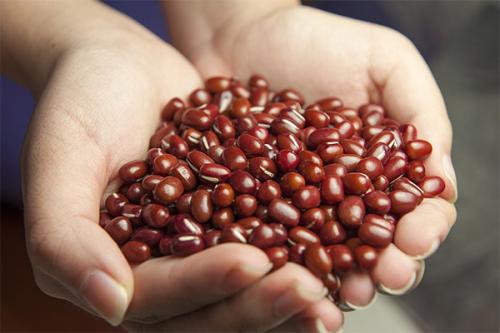 The Ukrainian company Beans Nature Product se - Imagen 1