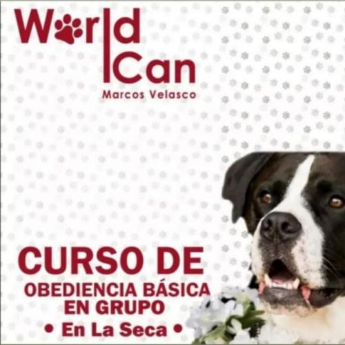 WORLD CAN Adiestramiento canino a domicilio S - Imagen 1