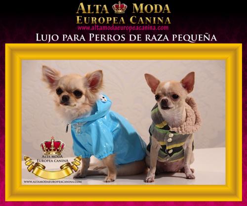 Moda Canina de Lujo para Perros Pequeños  En - Imagen 1